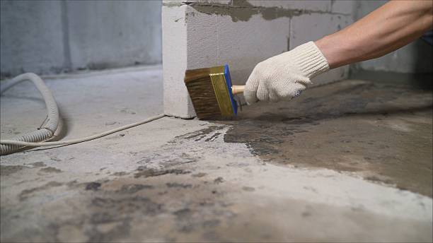 Crawl space vapor barrier installation in Bellevue, WA